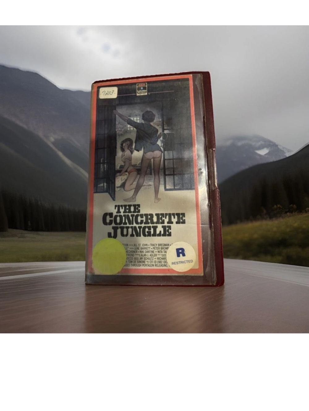 The Concrete Jungle VHS women’s prison movie